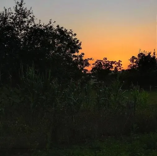 La Del Canario Bed and breakfast *